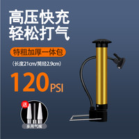 炫湾邦 迷你式 单气嘴 高压打气筒 498765432