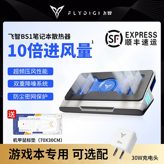 FLYDIGI 飞智 B5 散热背夹 黑色