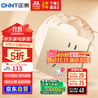 正泰（CHNT）开关插座墙壁面板家用86型面板斜五孔插座6C香槟金10只装插座套装