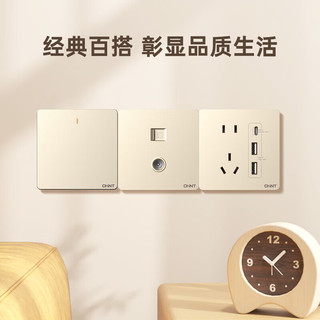 正泰（CHNT）开关插座墙壁面板家用86型面板斜五孔插座6C香槟金10只装插座套装
