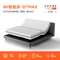 8H DTmax+MZ1零度绵床垫25cm厚 智能电动床