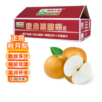 双11必抄作业:食品生鲜四神券来袭,一文搞懂叠券逻辑,囤货党必看!