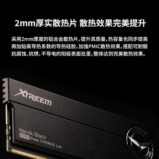 十铨科技XTREEM玄境 DDR5内存条 台式机马甲条 8200 8000 7600 7200 48G 32G 10层PCB板 2mm散热马甲 7600 32G(16Gx2)【特挑Adie】粉
