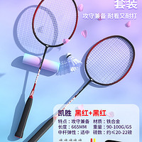 LI-NING 李宁 雷霆9 羽毛球拍 T319-2 2支