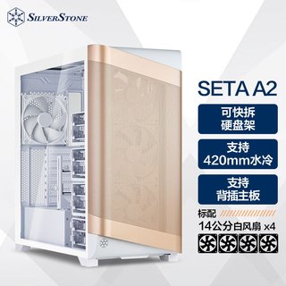  SilverStone/银昕 背插主板 全塔机箱