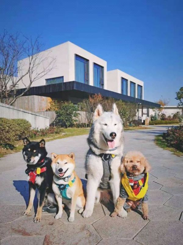 炸出一堆周末/春节不加价!玩雪泡汤遛娃,个个刚需必囤!永乐华住酒店好价清单