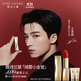 ESTEE LAUDER 雅诗兰黛 绒雾小金管 绝色由我绒雾唇膏 #699 3.5g