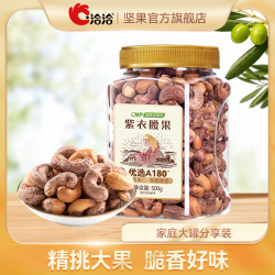 洽洽 紫衣腰果 500g*1罐