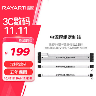 RAYARTI 雷匠 海韵/华硕等模组定制线白色套装（主板24PIN,CPU4+4PIN,显卡6+2PIN）