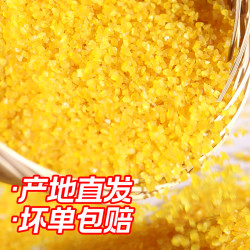 海农壹品 青稞玉米碴新鲜上市东北青稞玉米熟碴1KG真空玉米碴