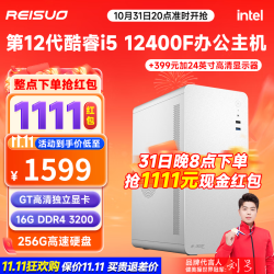 REISUO 雷索 13代酷睿i5 13400/12400办公游戏商用家用迷你PC台式电脑主机全套整机diy组装机 i5 12