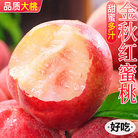 粤迎 山东金秋红蜜桃 4.5-5斤 单果150g+