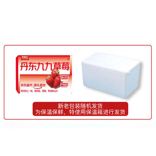 京鲜生 丹东99红颜草莓两盒装500g 新鲜水果 源头直发 