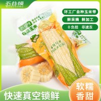 五谷颂 白糯玉米新鲜甜糯玉米 250g*8支