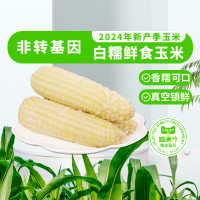88VIP:喵满分 白糯玉米 250g*8根
