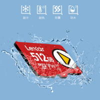 Lexar 雷克沙 PLAY系列 Micro-SD存储卡 512GB UHS-I、V30、U3、A2