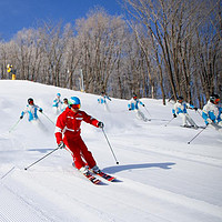 国内寻鲸/北极邮轮/小众滑雪地，这家景区业主的双11好价有意思