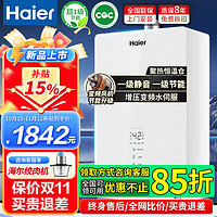 Haier 海尔 燃气热水器家用天然气16升双一级增压变频水伺服天然气热水器TESpro 白玉管道16L