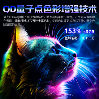 泰坦军团24.5英寸 2K 240Hz QD量子点-MiniLED DC调光 HDR1000 升降旋转 FastIPS 1msGTG电竞显示器 P245MS