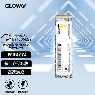 GLOWAY 光威 弈系列 M.2 NVMe 固态硬盘 2TB