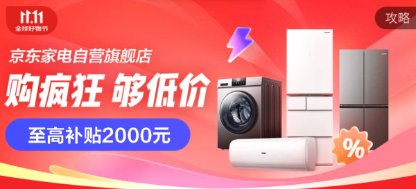 双十一必买榜单——冰洗