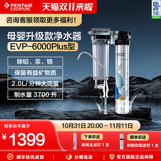 EVERPURE 爱惠浦 EVP-3000 五级过滤净水器 直饮净水机  抑制水垢 经济实惠