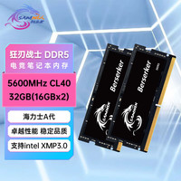 新乐士 SAMNIX 狂刃战士电竞内存条DDR5笔记本内存条16G 24G 32G 48G 5600 6代32G(16x2)5600 C38