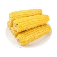 东北黄糯玉米 200g*8根