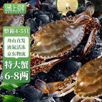 遇上鲜 舟山梭子蟹 液氮活冻特大野生螃蟹白蟹飞蟹6-8两/只 源头直发 共4-5只整蟹(约6-8两/只)