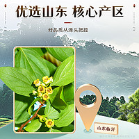 南京同仁堂霜后柿子叶茶干柿子树叶新鲜干货非粉正品官方旗舰店