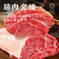 YASEEGO 羊食光 旗舰店牛腱子新鲜牛肉五花牛腱子肉4斤生鲜食材健身牛腿肉冷冻商用