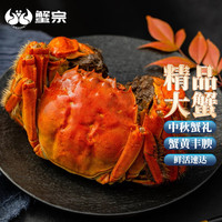 【活蟹】蟹宗大闸蟹鲜活螃蟹全母3.0-3.3两6只海鲜生鲜国庆海产礼盒源头直发 全母3.1-3.3两8只