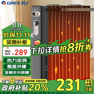 GREE 格力 整屋升温家用13片电油汀取暖器电暖器电暖气片家用油汀干衣加湿防烫 NY22-X6222