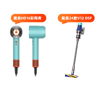 88VIP：dyson 戴森 HD16吹风机1台+戴森V12轻量版吸尘器 1台