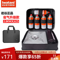 岩谷(Iwatani)喷枪 喷火抢便携式多功能料理枪喷枪头烧猪毛烘培焊枪点火器喷火 户外野炊:ZB-19炉+一体包+气5