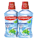  88VIP：Colgate 高露洁 酷爽薄荷漱口水 0酒精 500ml*2瓶　