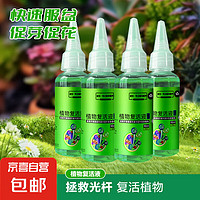 JX 京喜 花卉盆栽植物复活液 50ML*4瓶