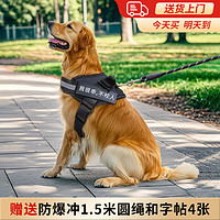 移动端、京东百亿补贴：BESTRONG 贝初众 狗绳大型犬牵引绳狗狗牵引绳胸背带遛狗绳中型犬大狗金毛边牧p绳