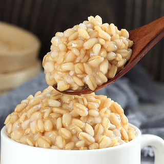 广禧优品冰糖燕麦罐头900g 即食青稞早餐燕麦片红豆甜品奶茶烘焙原料