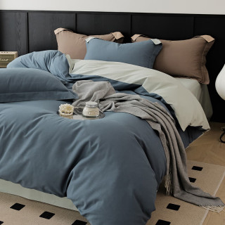 AIDLI 60支100%全棉磨毛新疆长绒棉加厚保暖纯棉四件套 200*230cm