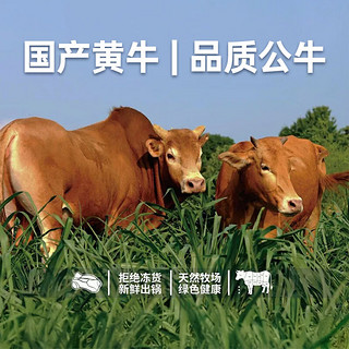 牛鲜尊 国产黄牛 整牛一头牛300斤 生鲜牛肉 新鲜屠宰 源头直发