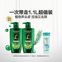 L'OREAL PARIS 茶树植萃洗发去屑净油双支套装止痒无硅油控油