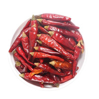 广供天下 四川干辣椒小米辣灯笼椒二荆条新一代子弹头中辣特辣制辣椒油辣椒 小米椒250g特辣中香