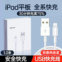 88VIP：aszune 艾苏恩 ipad充电器头mini5/Air/2/3/4适用苹果9平板8数据线ipadpro快充头