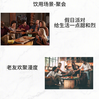 添加利（Tanqueray）伦敦干型 金酒琴酒 洋酒 43.1度 1000ml