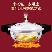 双喜 DOUBLE HAPPINESS迷你微压锅高压锅双人家用电磁炉通用多规格小型压力锅料理锅