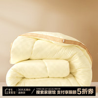 百丽丝 A类大豆羊绒蛋白抗菌被子 秋冬保暖透气加厚被芯 水星集团 冬厚被(双重蛋白&A类抑菌) 200cmx230cm