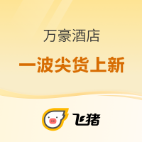 一波上新，爆出4个史低！低至294+/晚！飞猪万豪双11好价清单（篇二）