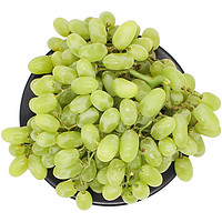 88VIP：RT-Mart 大润发 新疆无核白葡萄 500g