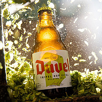 Duvel 督威 三花IPA精酿啤酒 330ml*6瓶